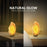 Himalayan Salt Lamp – مصباح ملح الهيمالايا